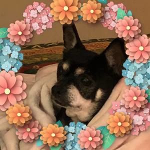 Meet your Posher, Louise